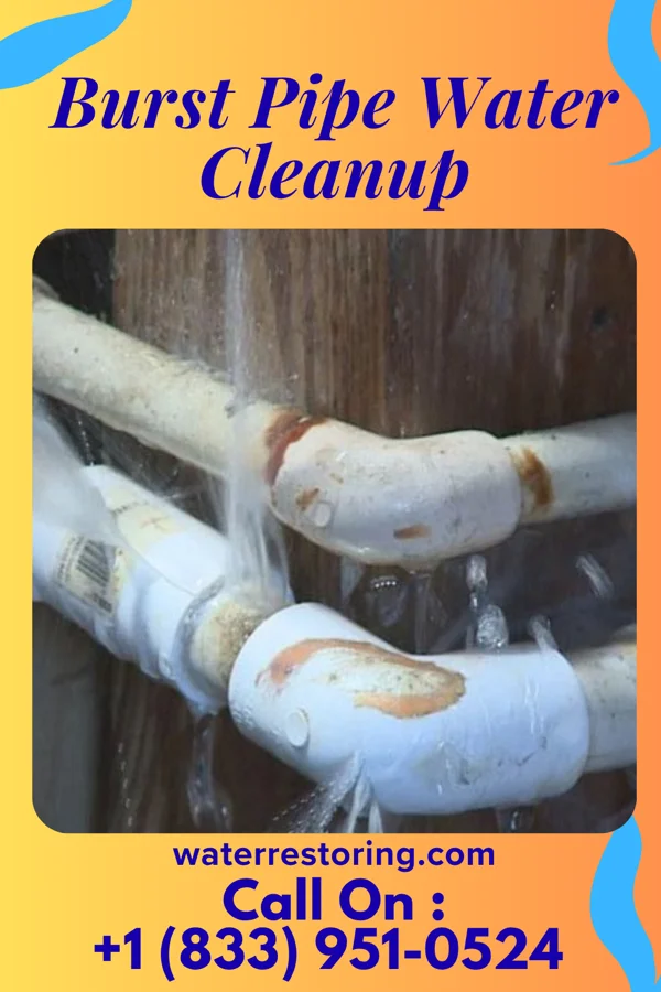 Burst Pipe Water Cleanup in Hamilton, OH