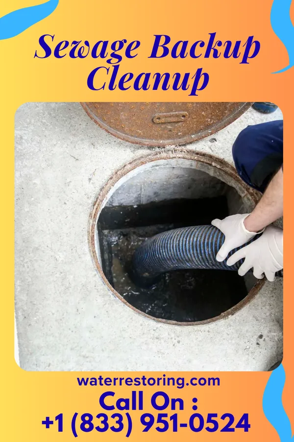 Sewage Backup Cleanup in Hamilton, OH