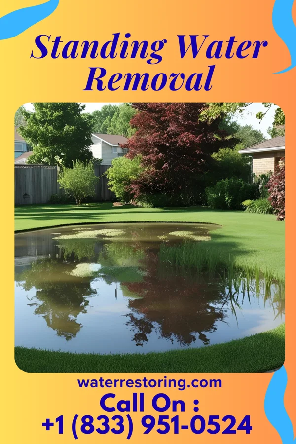 Standing Water Removal in Hamilton, OH